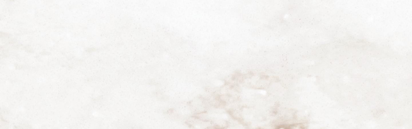 Aurora Magnolia — фото 2